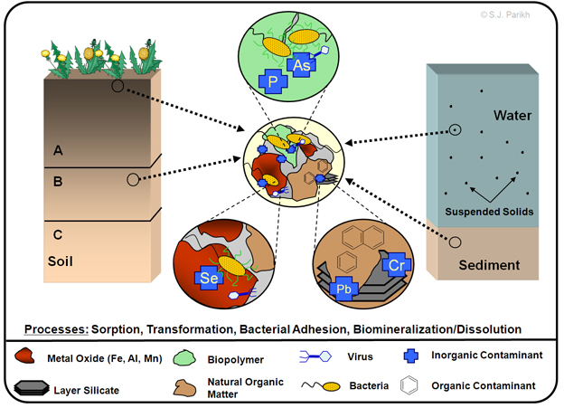 soil chemistry at interfaces.jpg